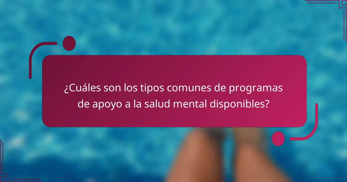 ¿Cuáles son los tipos comunes de programas de apoyo a la salud mental disponibles?